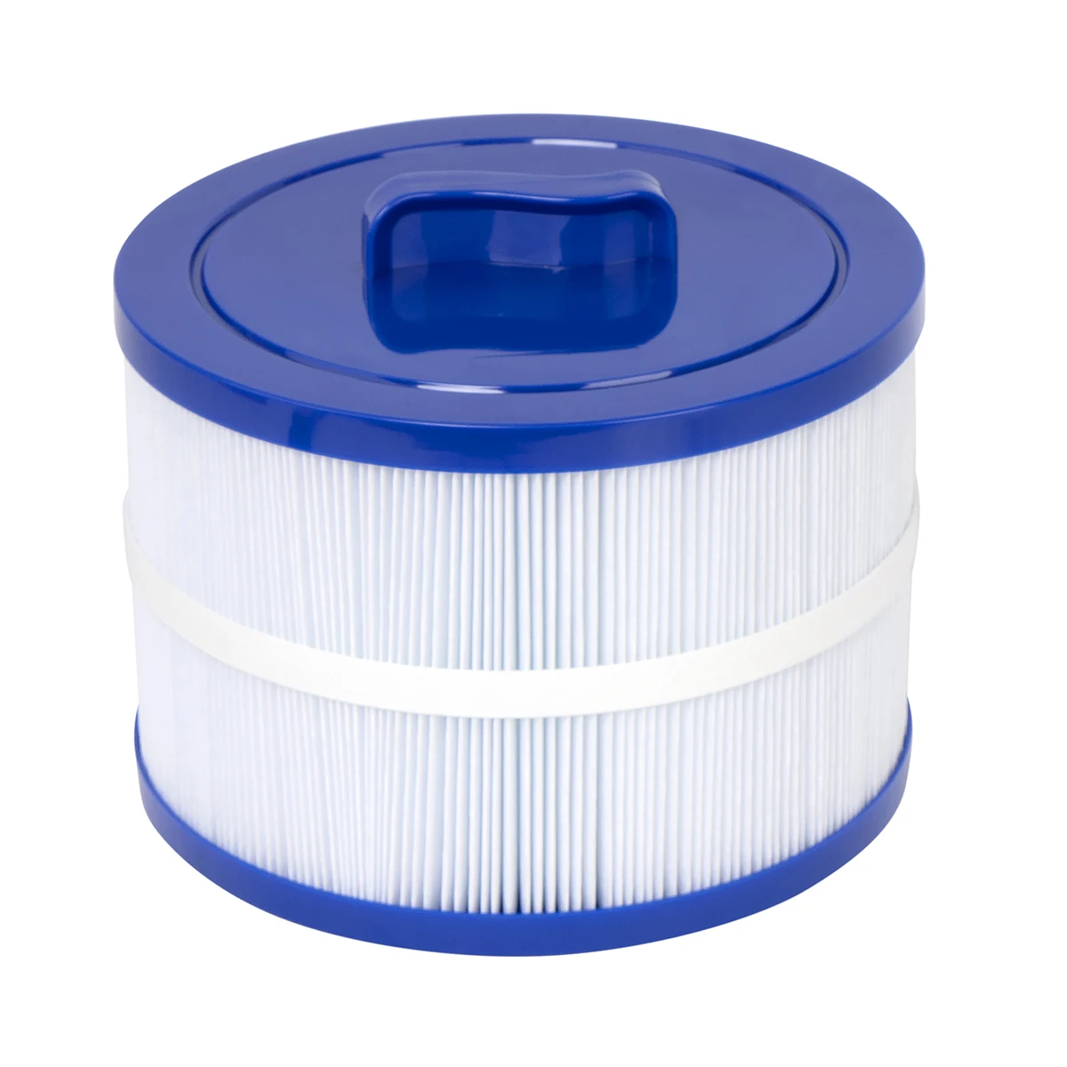 8CH-950 Spa Filter Cartridge F - Spa & Wellness Dr Roy Sothers review and price